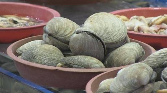 폭염으로 바닷물 온도가 상승하면서 비브리오균이 발호, 장염ㆍ패혈증이 커지고 있다. 특히 만성 간 질환자는 면역력이 저하돼 있어 비브리오패혈증을 각별히 조심해야 한다. 어패류는 반드시 익혀 먹어야 한다. 최근 한 수산시장에서 판매 중인 어패류. [연합뉴스]