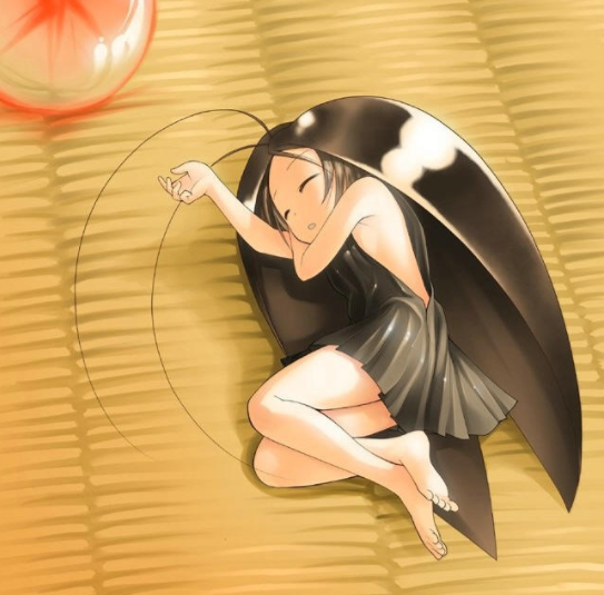 바퀴벌레의 모에화