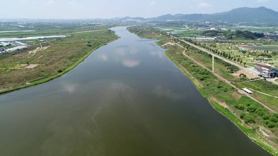 폭염이 이어진 지난달 26일 광주 남구 영산강 승촌보 인근 강물이 탁한 물빛을 보이고 있다. [연합뉴스]