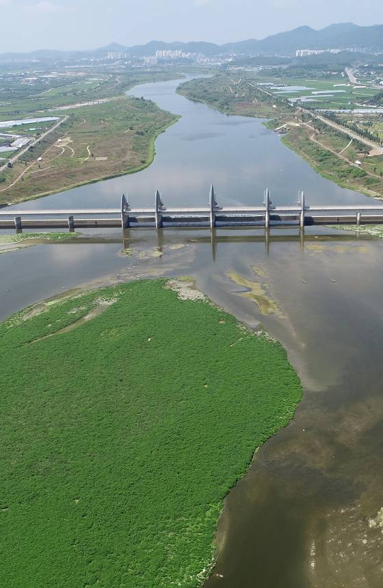 지난달 26일 촬영한 영산강 승촌보의 모습. 물은 깨끗하지 않으나 4대강 다른 보와는 달리 녹조가 심하게 발생하지는 않았다. [연합뉴스]