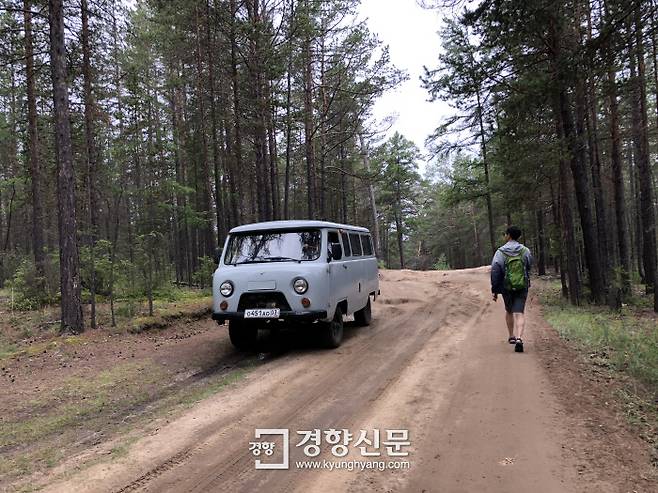 적송 군락이 우거진 숲길