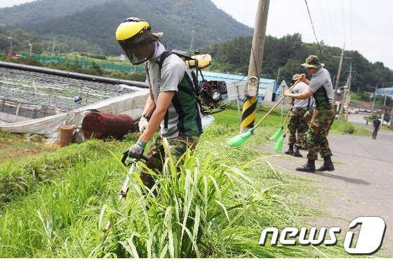 육군 제31보병사단 7391부대 장병들이 부대 인근에서 제초작업과 주변 쓰레기 수거를 위해 무더위 속에서 구슬땀을 흘리고 있다./사진제공=육군 제31사단© News1