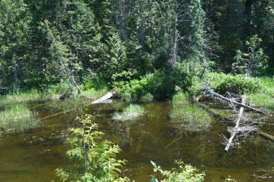 ◇청정 습지가 곳곳에 펼쳐진다<김형우 관광전문 기자>