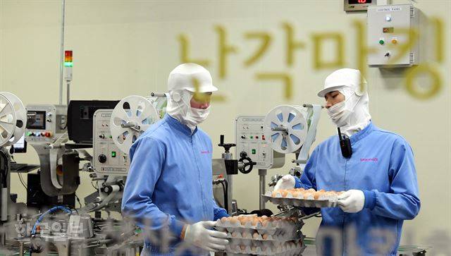 구례자연드림파크 내 작업장 모습. 한국일보 자료사진