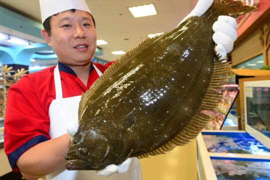 맛이 뛰어나면서도 가격도 비교적 저렴해 ‘국민 횟감’으로 자리 잡은 광어. 최근에는 양식 기술도 좋아져 제철이 따로 없이 사계절 즐길 수 있게 됐다.  신창섭 기자 bluesky@