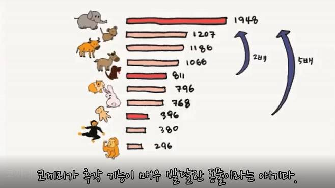 과학 읽어주는 언니 제공