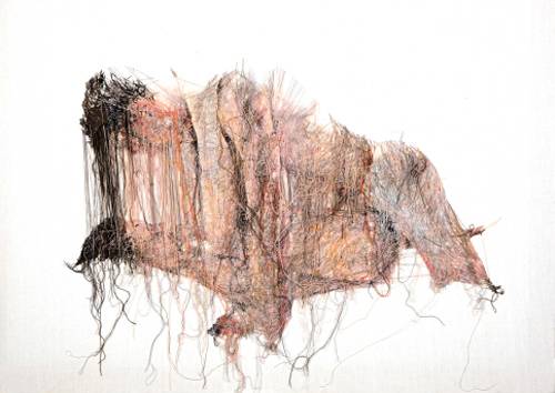 조나라作 ‘아노말리사’