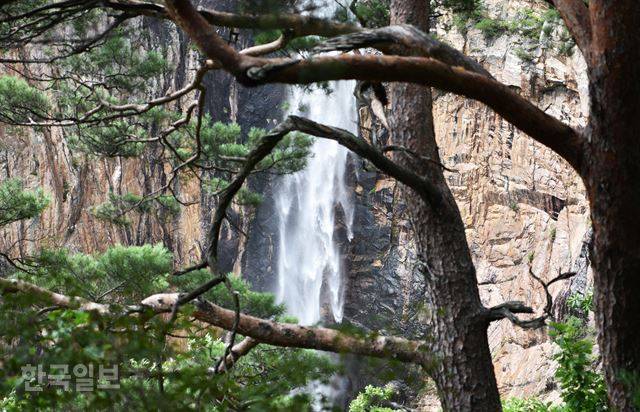 계단이 끝나는 지점에서 드디어 나뭇가지 사이로 대승폭포의 물줄기가 보인다.