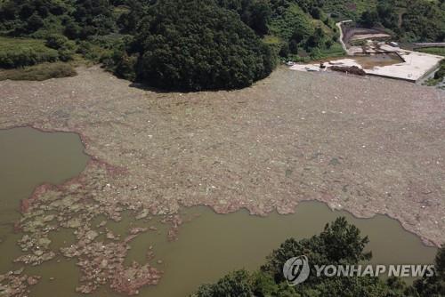선착장 주변에 흩어진 폭우 쓰레기 [연합뉴스 자료사진]