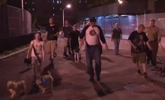 강아지와 함께 쥐잡기에 나선 뉴욕 시민들