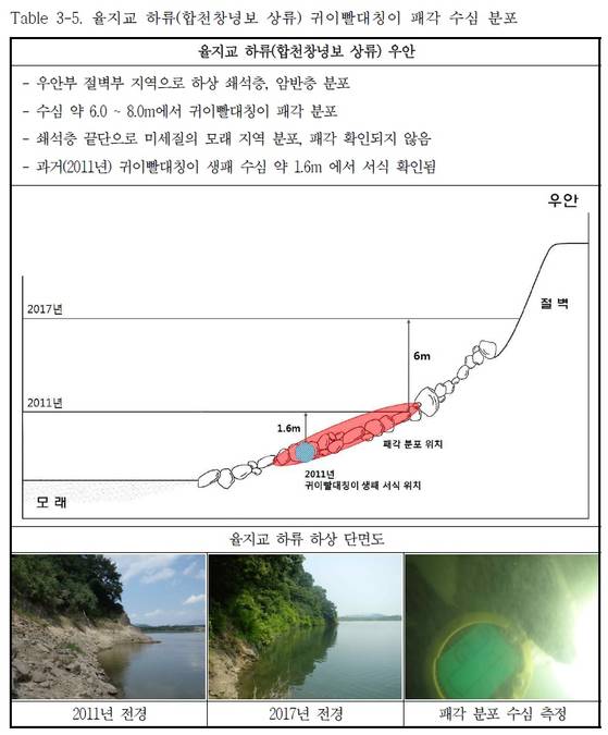 수심변화와 귀이빨대칭이. 2011년 귀이빨대칭이가 발견된 곳은 수심이 1.6m였으나, 지난해에는 수심이 7.6m로 깊어졌고 귀이빨대칭이도 발견되지 않았다. [자료 국립환경과학원]