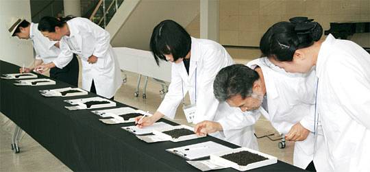 올해로 11회째를 맞은 전남 강진 야생수제차 품평회가 지난 6월 강진아트홀에서 열렸다. 이 행사는 다신계 결성 취지 중 하나였던 차 산업 부흥을 도모하는 프로그램이다.  강진군청 제공