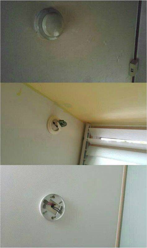 몰카 적발 현장 (사진 제공= 손해영 팀장)