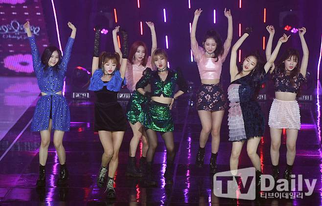 티브이데일리 포토