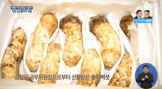 송이버섯 / 사진=KBS1 뉴스화면 캡처