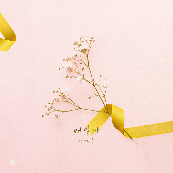 안예슬