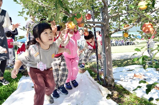 지난해 경북 문경새재도립공원에서 열린 문경사과축제에서 어린이들이 사과를 따고 있다. 문경시 제공
