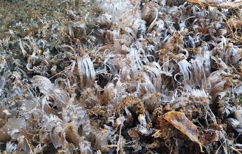 국립공원 덕유산 정상에 첫 얼음 11일 전북 무주군 국립공원 덕유산 정산이 향적봉에 첫 얼음이 관측됐다.