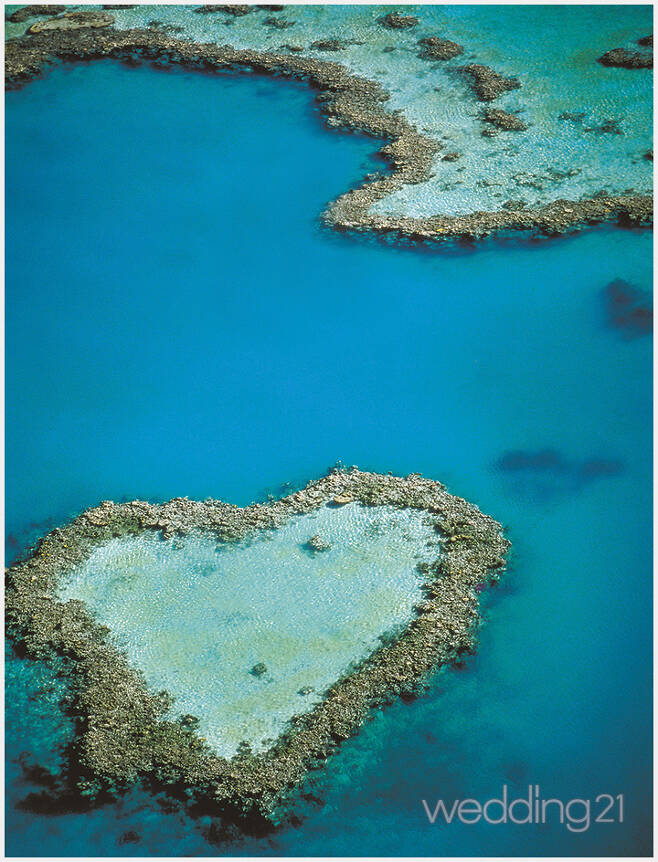 로맨틱한 하트 모양의 섬 허니문 -2