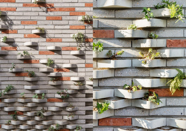 남 교수가 설계한 서울 서초구 반포동 '작은공원(Alley House)' 벽면. 직접 제작한 리빙브릭(Living Brick)을 이용해 식물을 곳곳에 심었다. /ⓒ송유섭, ⓒ신경섭
