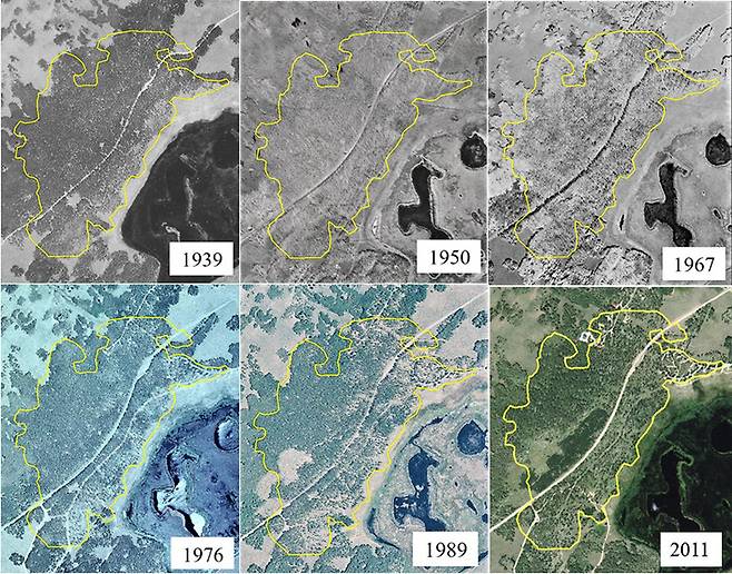 1939∼2011년 사이 판도 숲(노란 테두리)의 변화를 보여주는 항공사진. 애초 고속도로가 관통하지만 개발과 초식동물 때문에 숲에 빈터가 생기고 성겨지는 양상이 분명하다. 미국농무부 항공사진 현장사무소