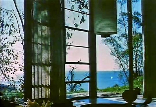 익명적인 공업화 재료가 생활과 사물을 드러낸다.  ‘House After 5 Years of Living’ 캡처