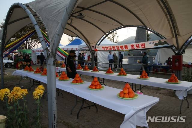 【하동=뉴시스】김윤관 기자 = 경남 하동군 악양면청년회(회장 이정식)는 다음달 2∼4일 사흘간 악양 평사리공원에서 ‘선홍빛 대봉감 가을을 품다’를 주제로 제20회 하동 악양 대봉감축제를 개최한다. 2018.10.31. (사진=하동군 제공) kyk@newsis.com