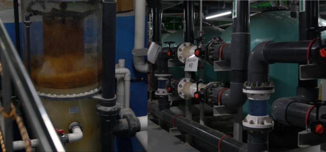 암모니아와 같은 질소화합물을 걸러내는 장비인 프로틴 스키머(왼쪽). 담수 내 불순물을 걸러내는 모래여과기(오른쪽)는 수조별로 배치돼 있다.