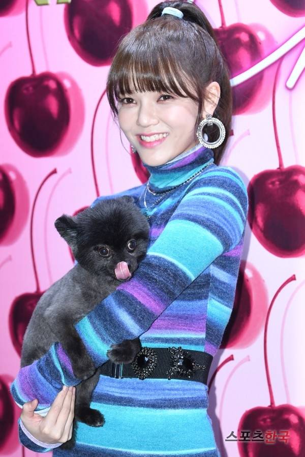 네이키드 체리 컬렉션 홀리데이 파티 행사에 참석하고 있는 AOA 지민. 사진=장동규 기자 jk31@hankooki.com