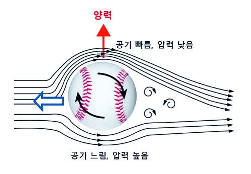 공의 회전과 양력