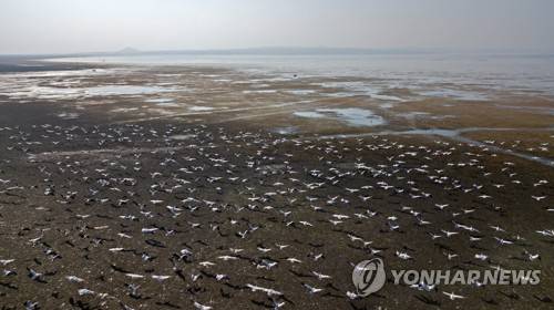 TURKEY LAKE MARMARA FEATURE