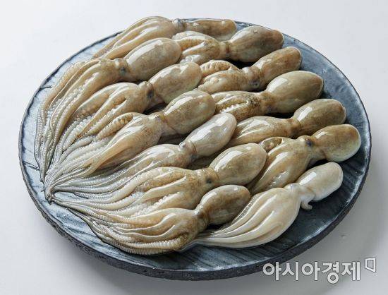 낙지는 조선시대 과거시험을 준비하는 선비들에게는 매우 금기시되던 음식이었다. 이름조차 낙지라고 부르면 재수가 없다며 승지, 입지 등으로 불렀다고 한다.(사진=아시아경제DB)