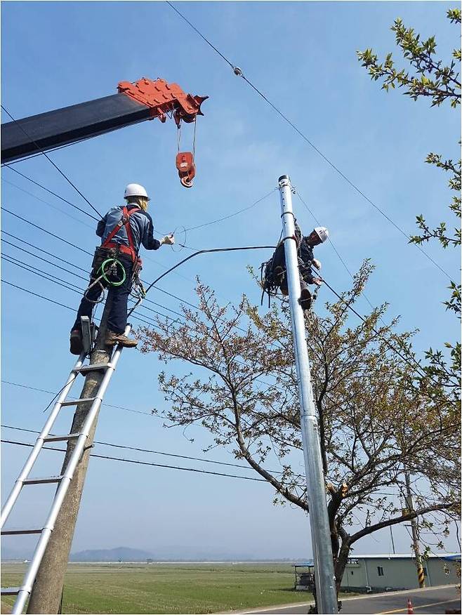케이티 외주업체 노동자들이 전봇대 설치 작업을 하고 있다. ?‘케이티 용역업체 통신노동자 긴급실태조사 결과 보고서’(전주시비정규노동자지원센터)