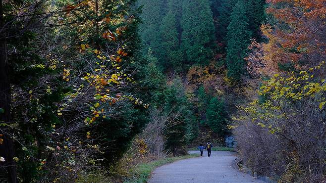 남해바래길 5코스