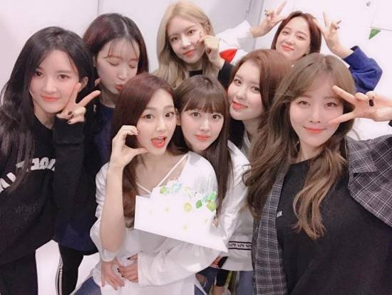 (사진=젤리피쉬 제공)