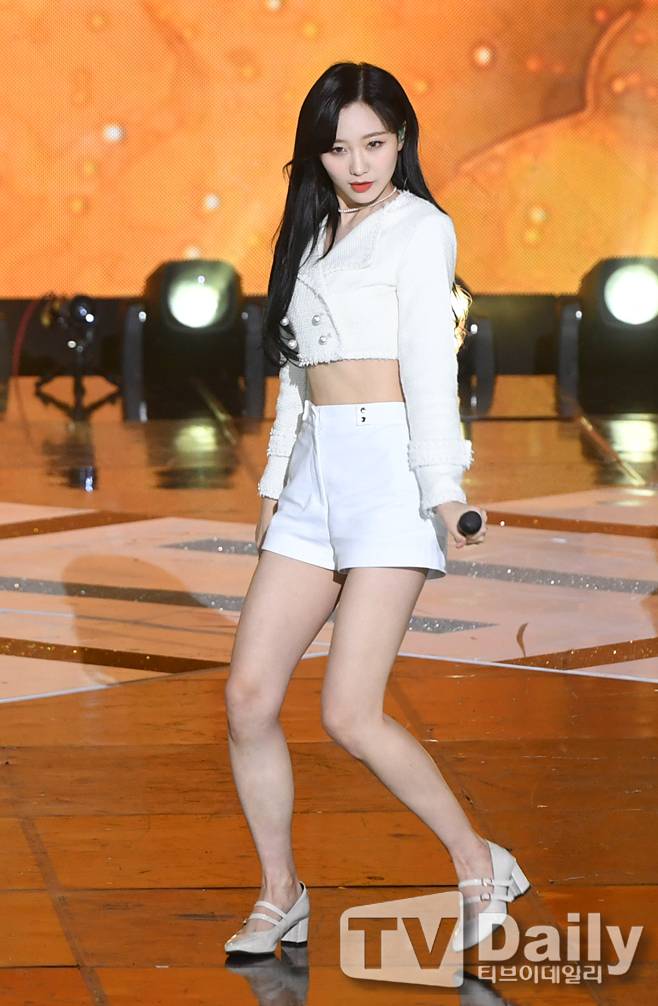 티브이데일리 포토