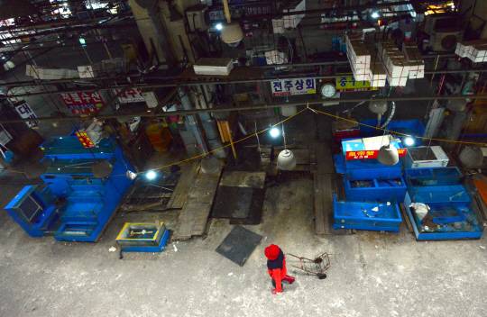 텅 빈 수족관 : 6일 오전 인적이 끊기고 어둠 속에 적막감이 흐르는 서울 동작구 노량진 구 수산시장에서 한 상인이 수족관이 텅 비어있는 점포 앞을 지나가고 있다.   김선규 기자 ufokim@