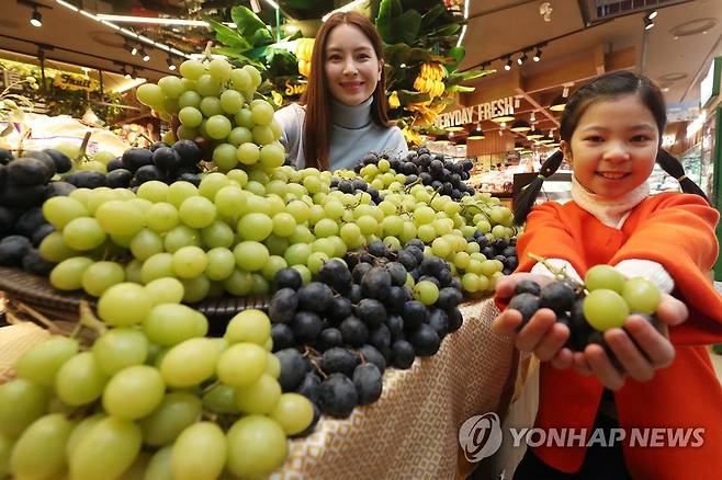 껍질 채 먹는 맛있는 포도