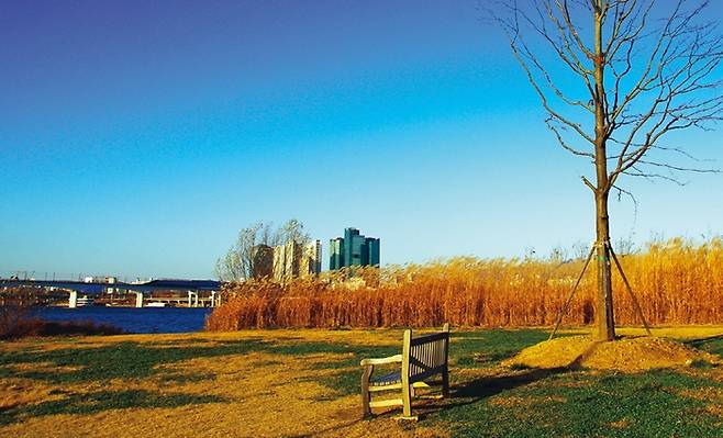 당산철교가 보이는 강가의 낮은 언덕.