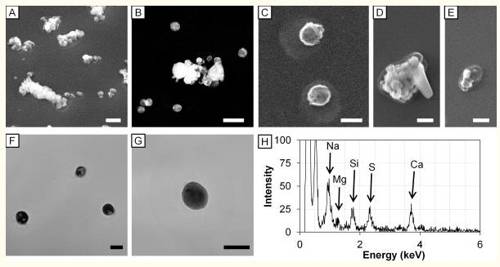 초음파 가습기를 통해 배출된 입자 이미지 [보고서 'Effect of aerosol particles generated by ultrasonic humidifiers on the lung in mouse' 중]