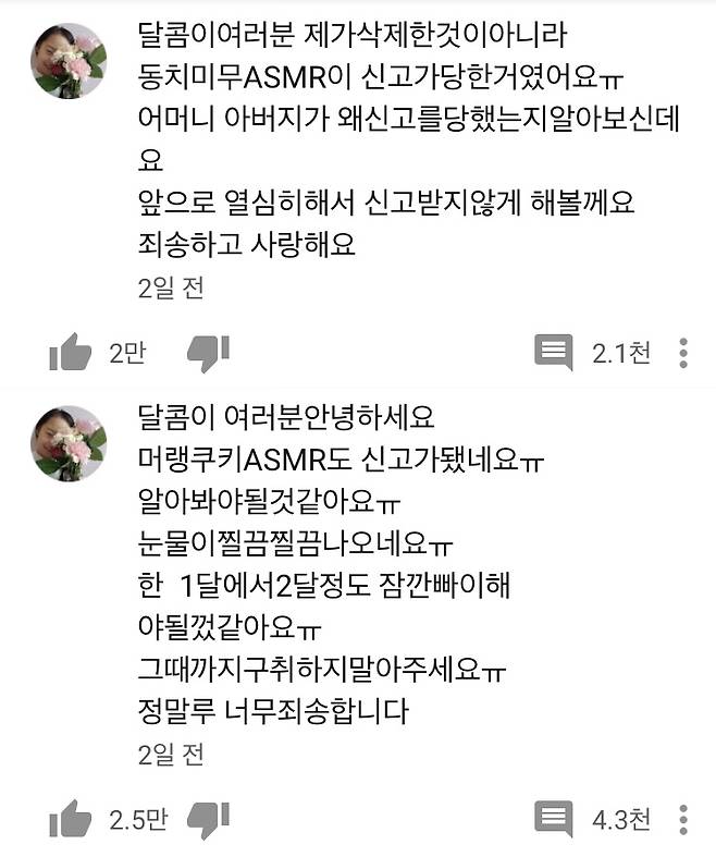 /사진=유튜브 '띠예' 채널 캡처