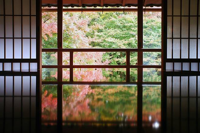 일본 젊은이들 사이에서도 인스타그램 인증샷 성지로 꼽히는 규치쿠린인의 액자정원. 테이블 위에 카메라를 올려놓고 찍으면 정원에 휩싸인듯한 사진을 찍을 수 있다.