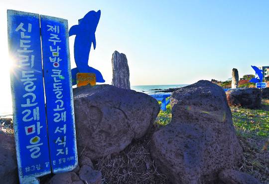 서귀포시 대정읍 신도리 해안도로에 돌고래마을 이정표가 세워져 있다.