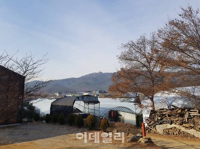 3기 신도시로 지정된 경기 과천시 과천동 일대 비닐하우스단지 모습. 사진=경계영 기자.