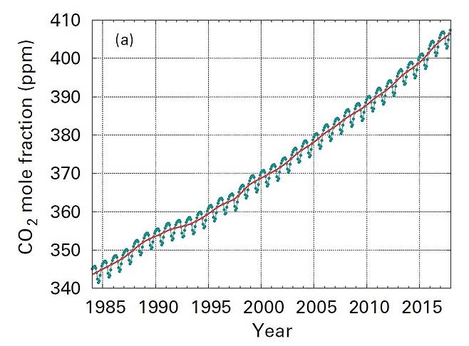 대표적 온실가스인 이산화탄소 농도의 변화. 북반구의 경우 여름철엔 감소했다가 겨울철에는 증가한다. [자료 세계기상기구(WMO)]