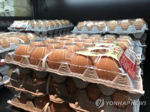 부화 훨씬 전에 암수감별이 가능해지면서 병아리의 잔혹시대는 막을 내릴 것으로 전문가들은 예상하고 있다.[연합뉴스 자료사진]
