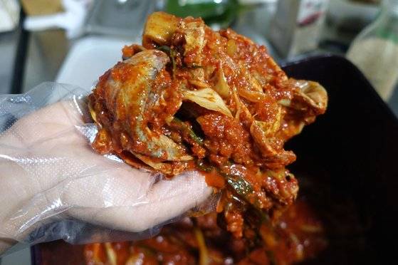 김치 통에서 1년 묵은 밴댕이김치 한쪽을 들어올려 보여주고 있다.