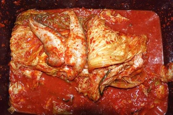 밴댕이김치는 반듯하게 뉘어 통에 담아둔다. 김치 줄기들 들추자 모양을 그대로 유지한 밴댕이가 드러난다.