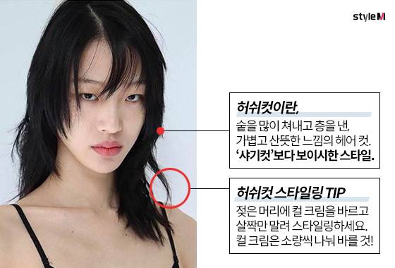 /사진·그래픽=최소라 인스타그램, 이은 기자