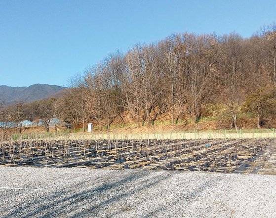 경기도 성남시 금토동 그린벨트 지역에서 매각 중인 토지. 이 일대에 한국판 실리콘밸리를 완성할 제2·3 판교테크노밸리가 조성된다.